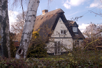 Scuttle Cottage March 2010